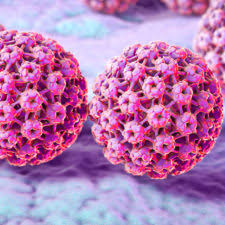 Virus